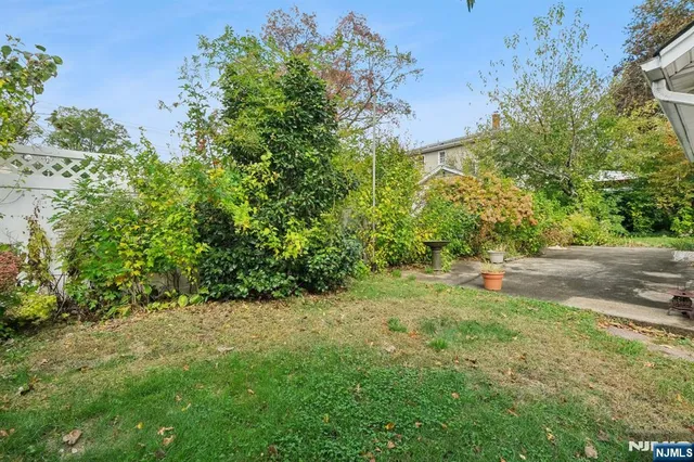 a view of yard with green space