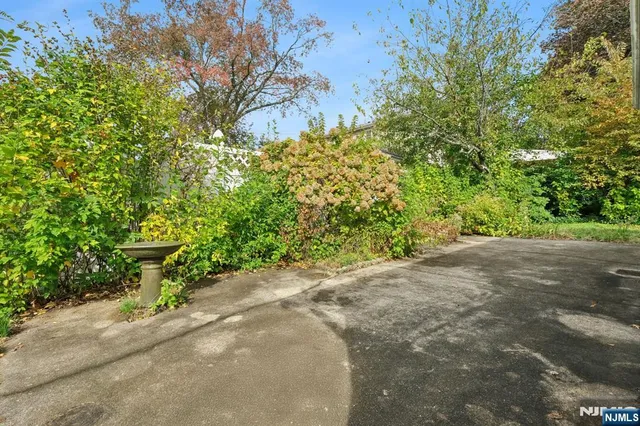 a view of a garden with plants