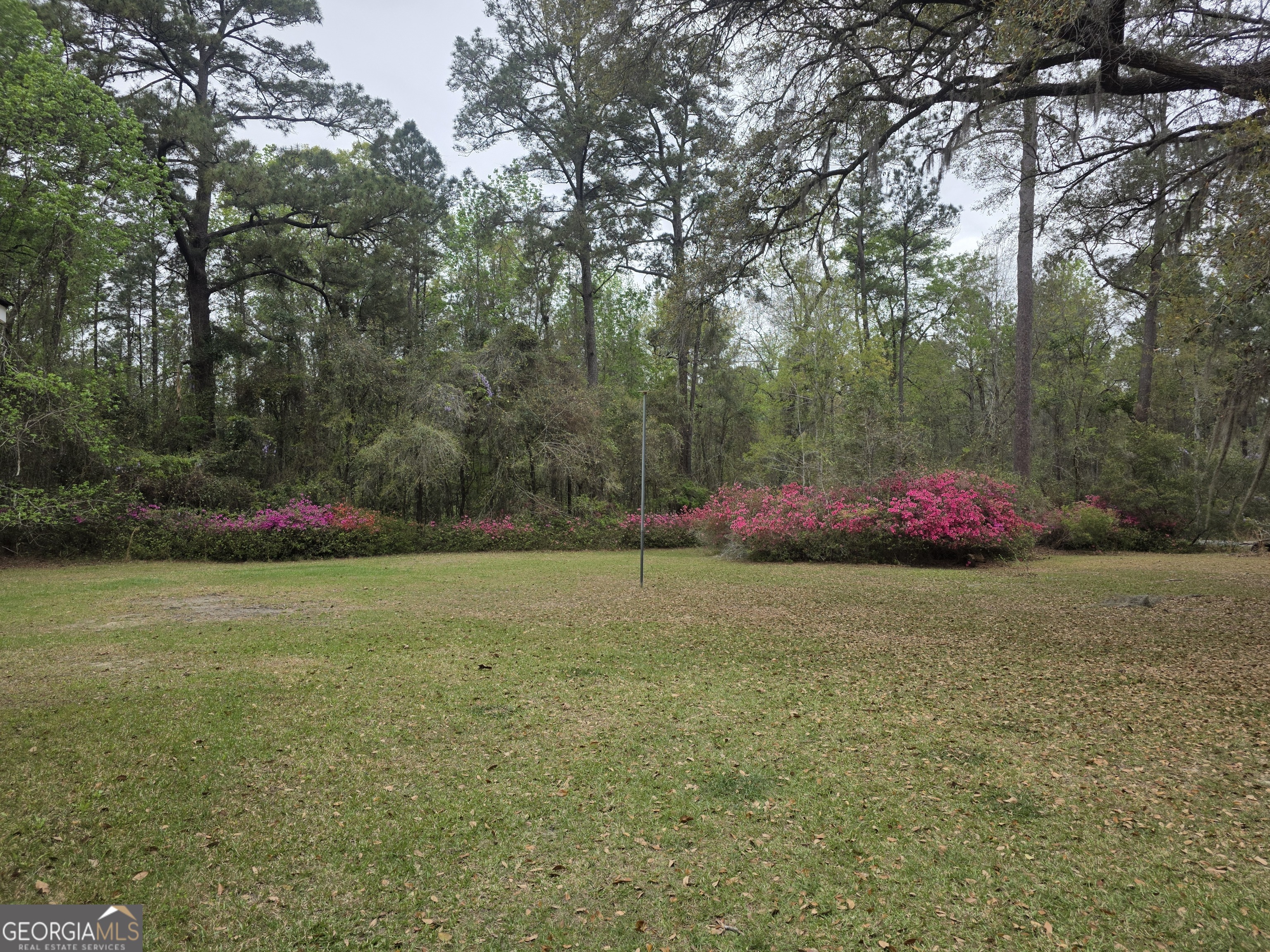 583 Mill Pond Road Rincon, GA 31326 - Photo 2 of 27