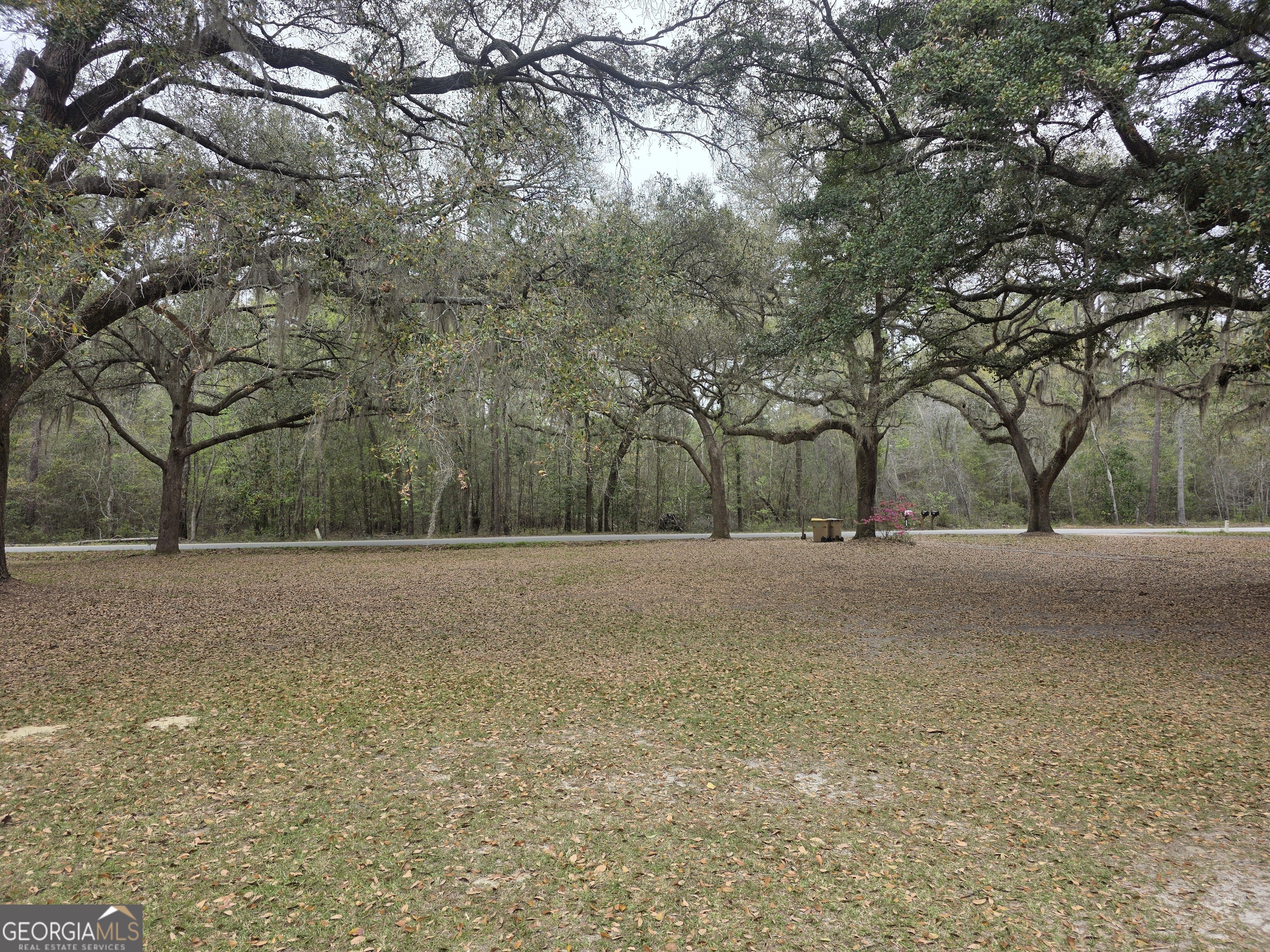 583 Mill Pond Road Rincon, GA 31326 - Photo 3 of 27