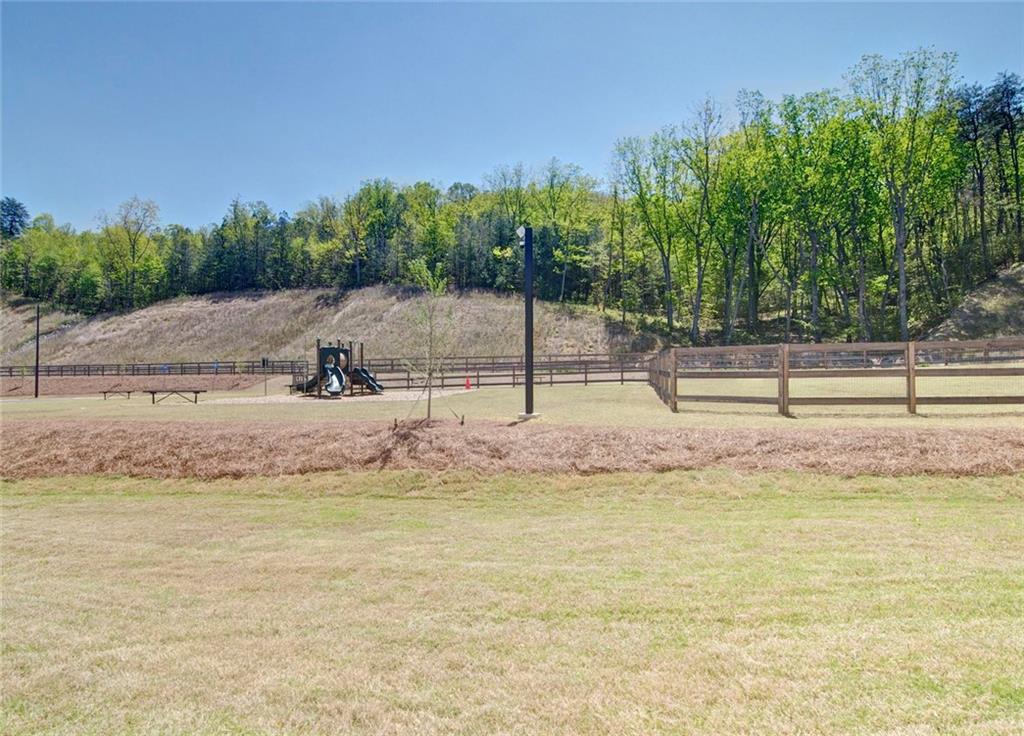 321 Skye Lane Cartersville, GA 30121 - Photo 36 of 38