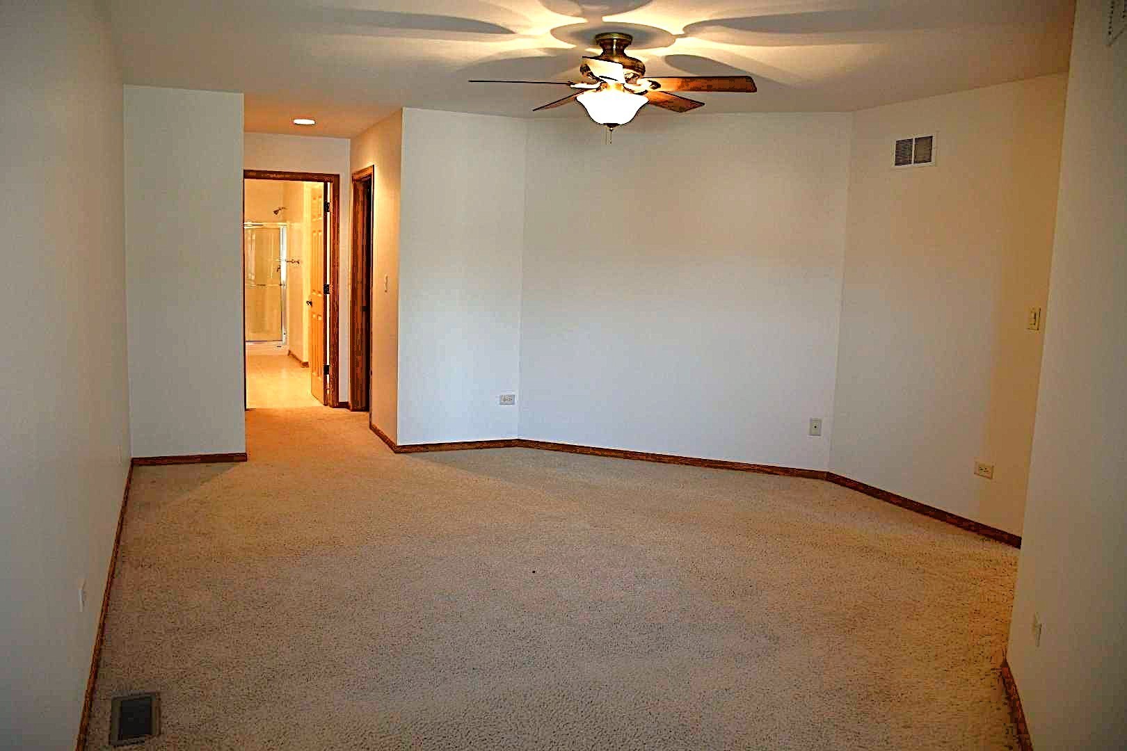 25428 Barrow Road Manhattan, IL 60442 - Photo 11 of 21