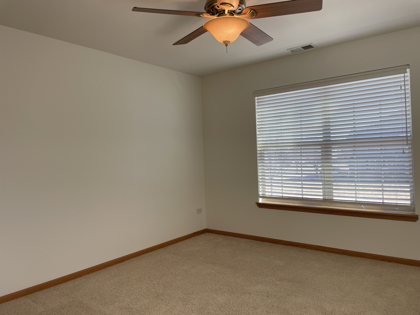 25428 Barrow Road Manhattan, IL 60442 - Photo 18 of 21