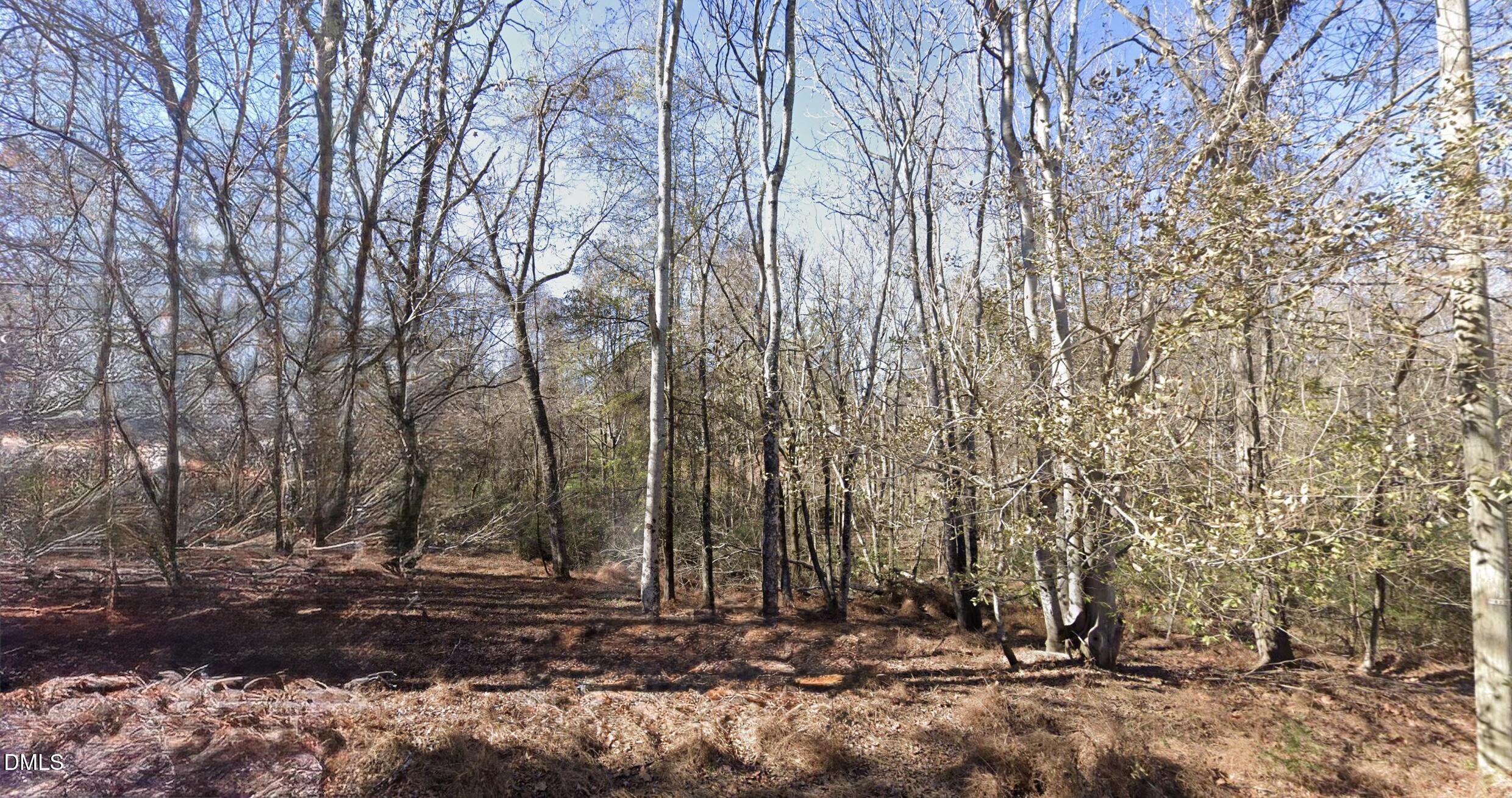 0 Sloan Road Roxboro, NC 27574 - Photo 5 of 11 a view of a tree with lots of trees
