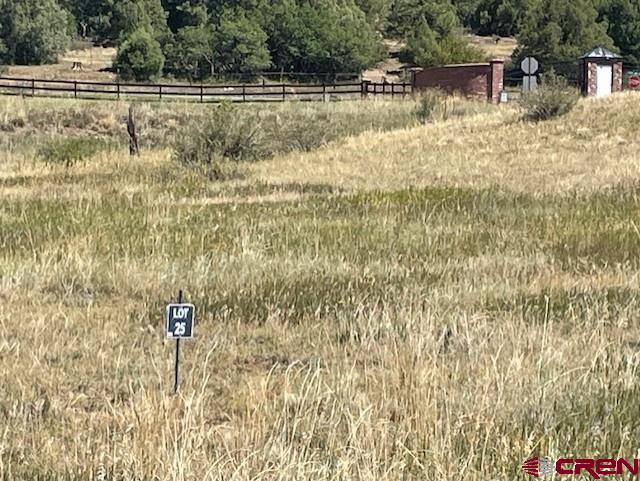 135 Incline Circle Pagosa Springs, CO 81147 - Photo 11 of 12