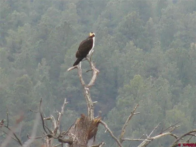 a close view of shower tap