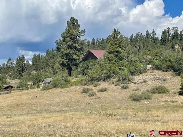 a view of a dry yard with trees
