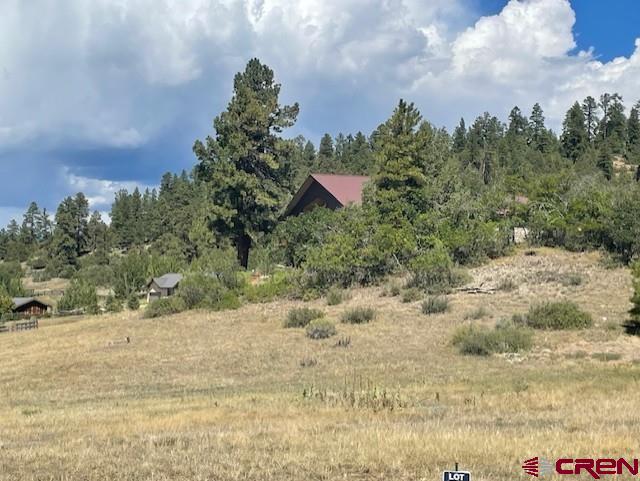 135 Incline Circle Pagosa Springs, CO 81147 - Photo 10 of 12