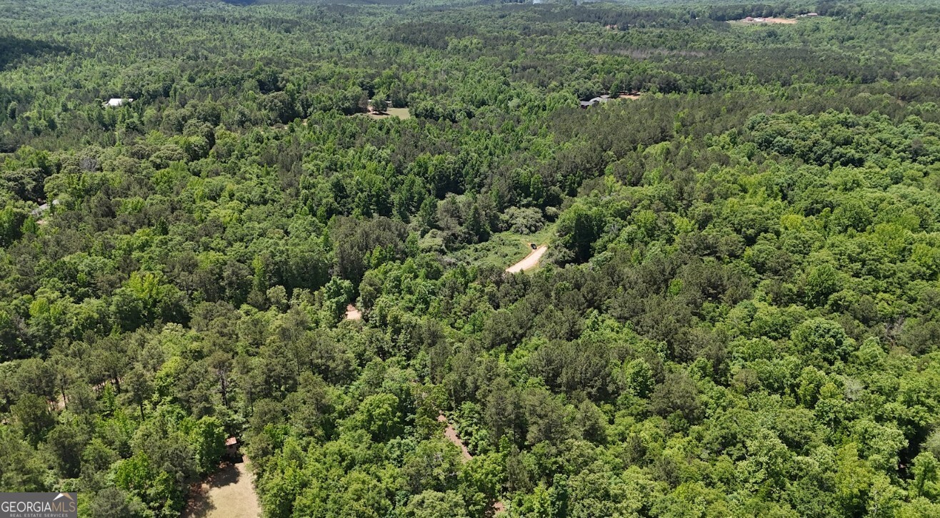0 Creek Road, Unit LOT 2 Ashland, AL 36251 - Photo 8 of 20