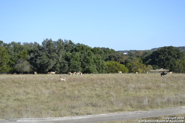 Lt 22 Stone Crest Bandera, TX 78003 - Photo 3 of 9 a view of a road with trees in the background
