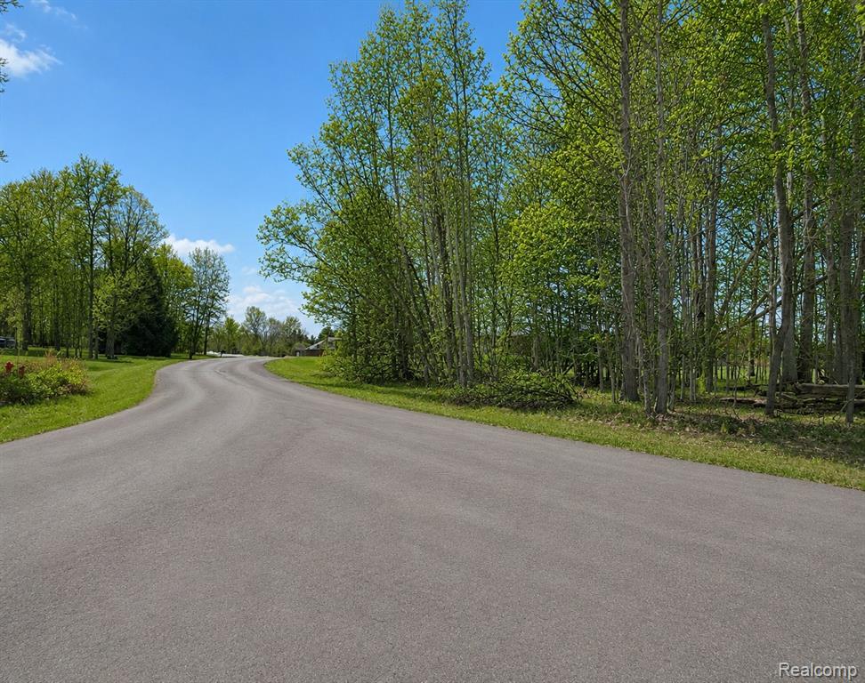 4171 Belle Ridge Drive Dryden, MI 48428 - Photo 4 of 22