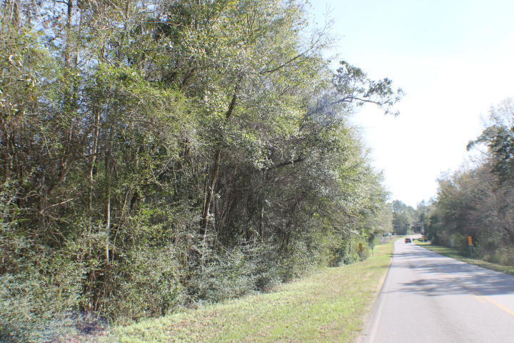 Lot 2 Lark Lane Crestview, FL 32539 - Photo 2 of 8 a view of a yard with large trees
