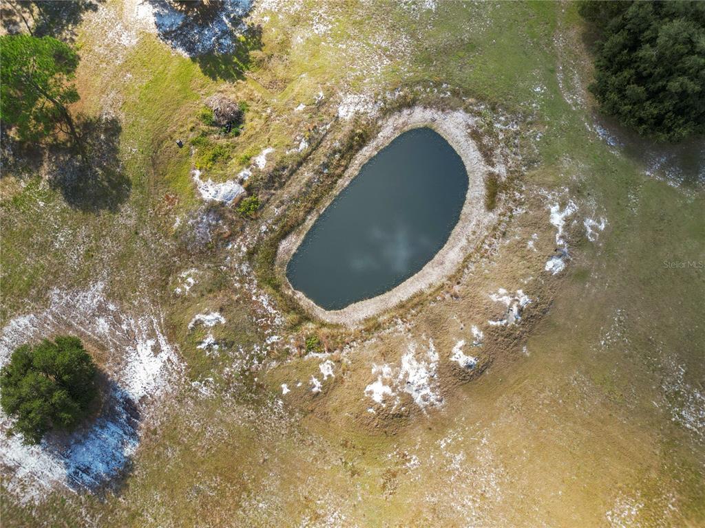 1828 Gator Creek Ranch Road Lakeland, FL 33809 - Photo 19 of 27 a view of outdoor space and yard