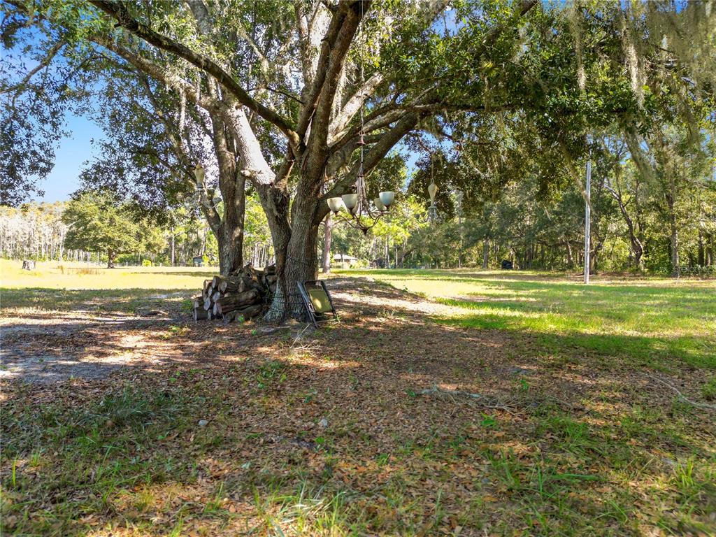 1828 Gator Creek Ranch Road Lakeland, FL 33809 - Photo 25 of 27 a view of a yard with large trees
