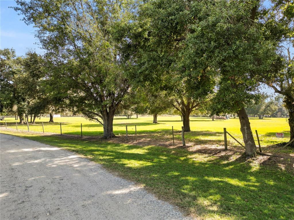 1828 Gator Creek Ranch Road Lakeland, FL 33809 - Photo 6 of 27 a view of yard with swimming pool and trees
