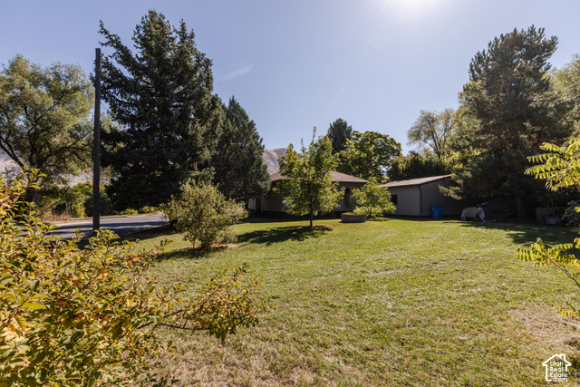 3959 Main Street Logan, UT 84321 - Photo 32 of 35 Expansive grassy lawn with mature trees and a detached shed