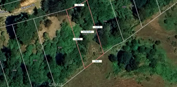 a view of a plant in a garden