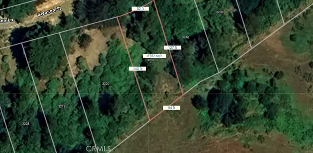 a view of a plant in a garden