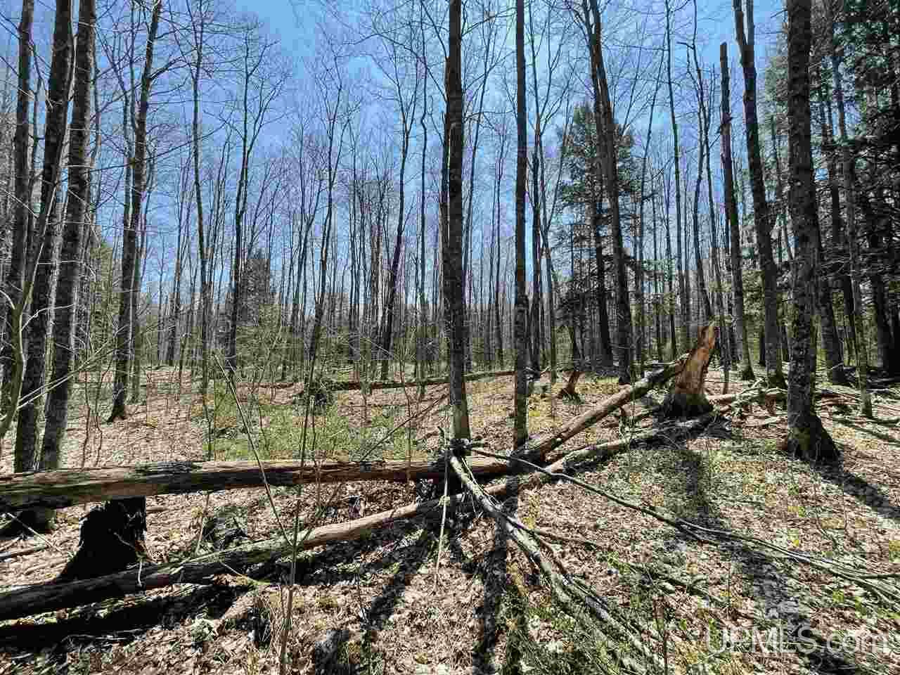 22503 Lower Skanee Road Skanee, MI 49962 - Photo 21 of 24 Gallery Image 21