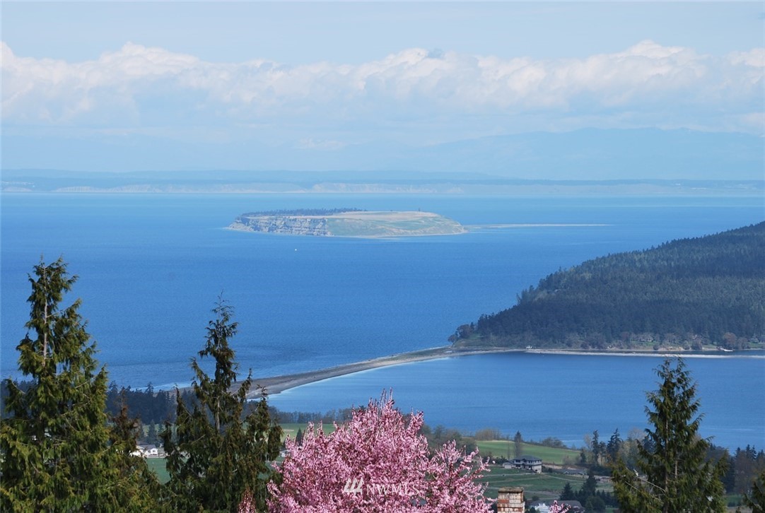 999 Doe Run Road Sequim, WA 98382 - Photo 1 of 12