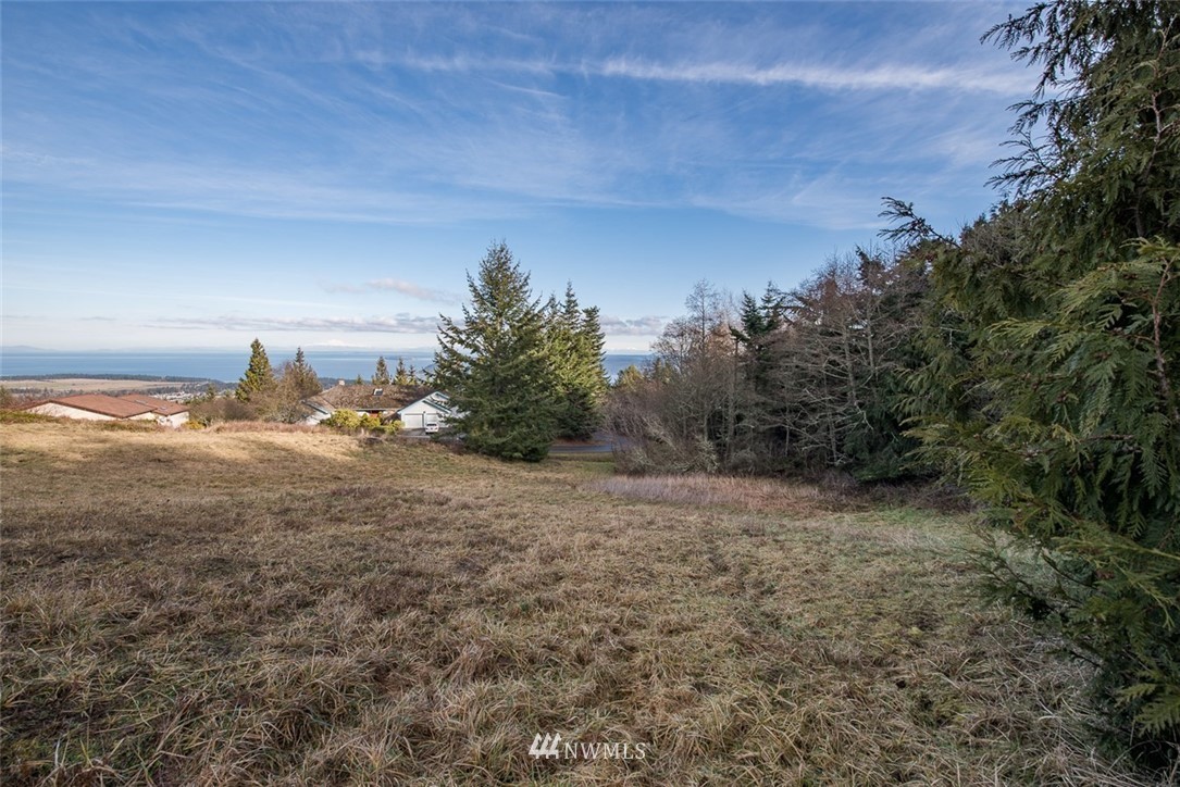 999 Doe Run Road Sequim, WA 98382 - Photo 11 of 12