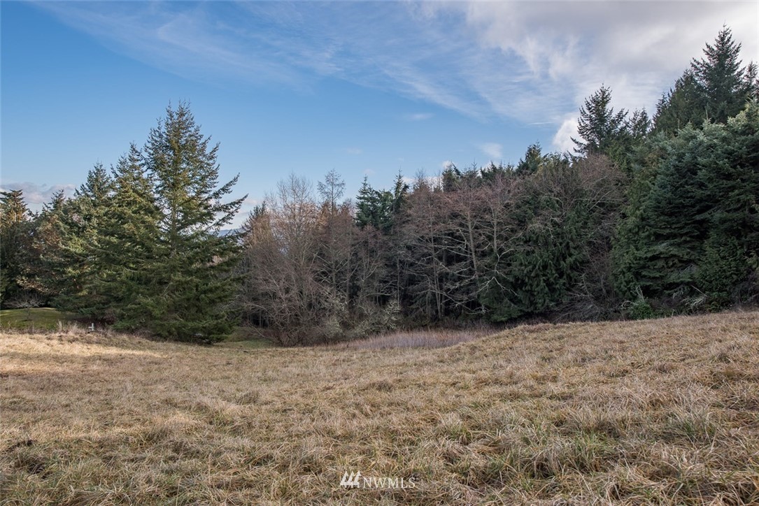 999 Doe Run Road Sequim, WA 98382 - Photo 12 of 12