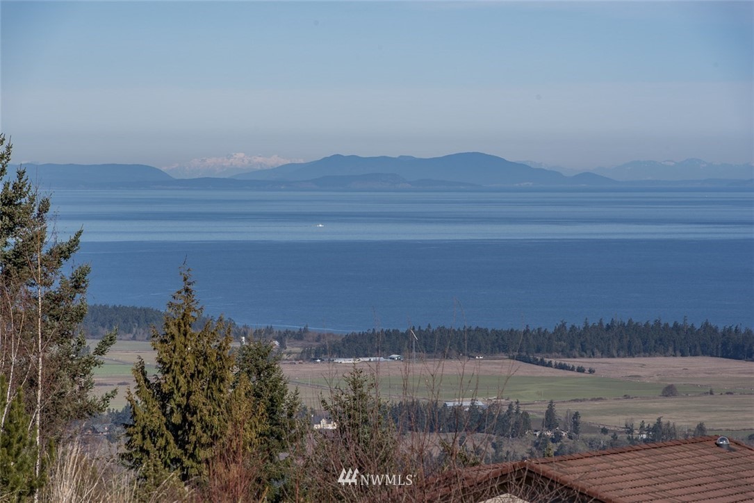 999 Doe Run Road Sequim, WA 98382 - Photo 3 of 12