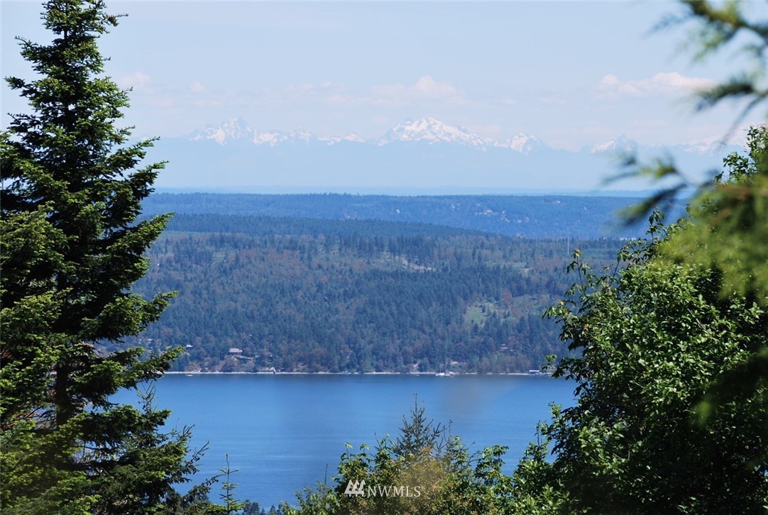 999 Doe Run Road Sequim, WA 98382 - Photo 8 of 12