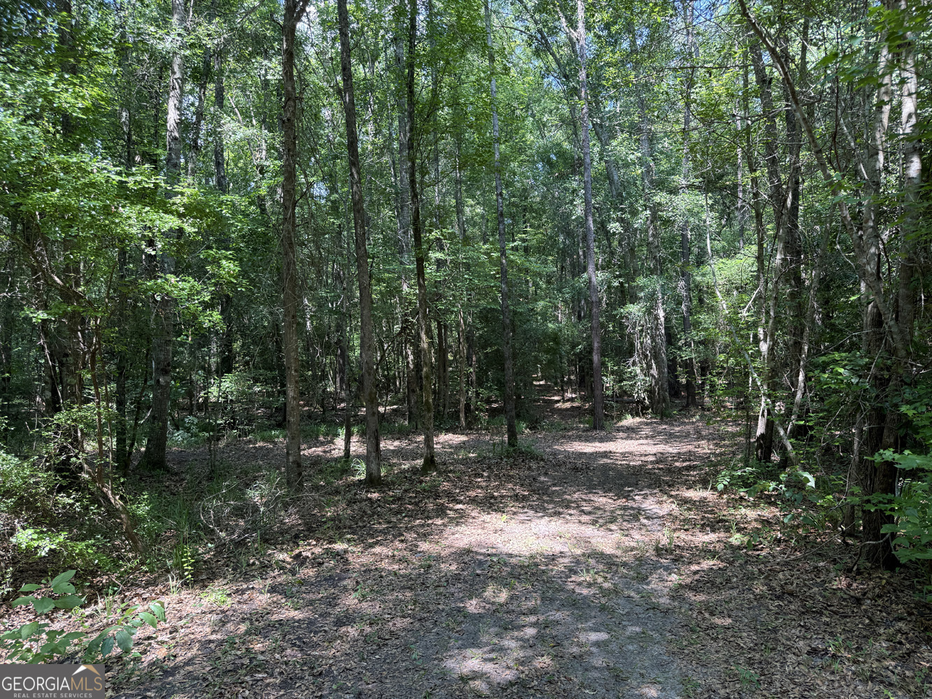 651 Branan Road Toomsboro, GA 31090 - Photo 3 of 53