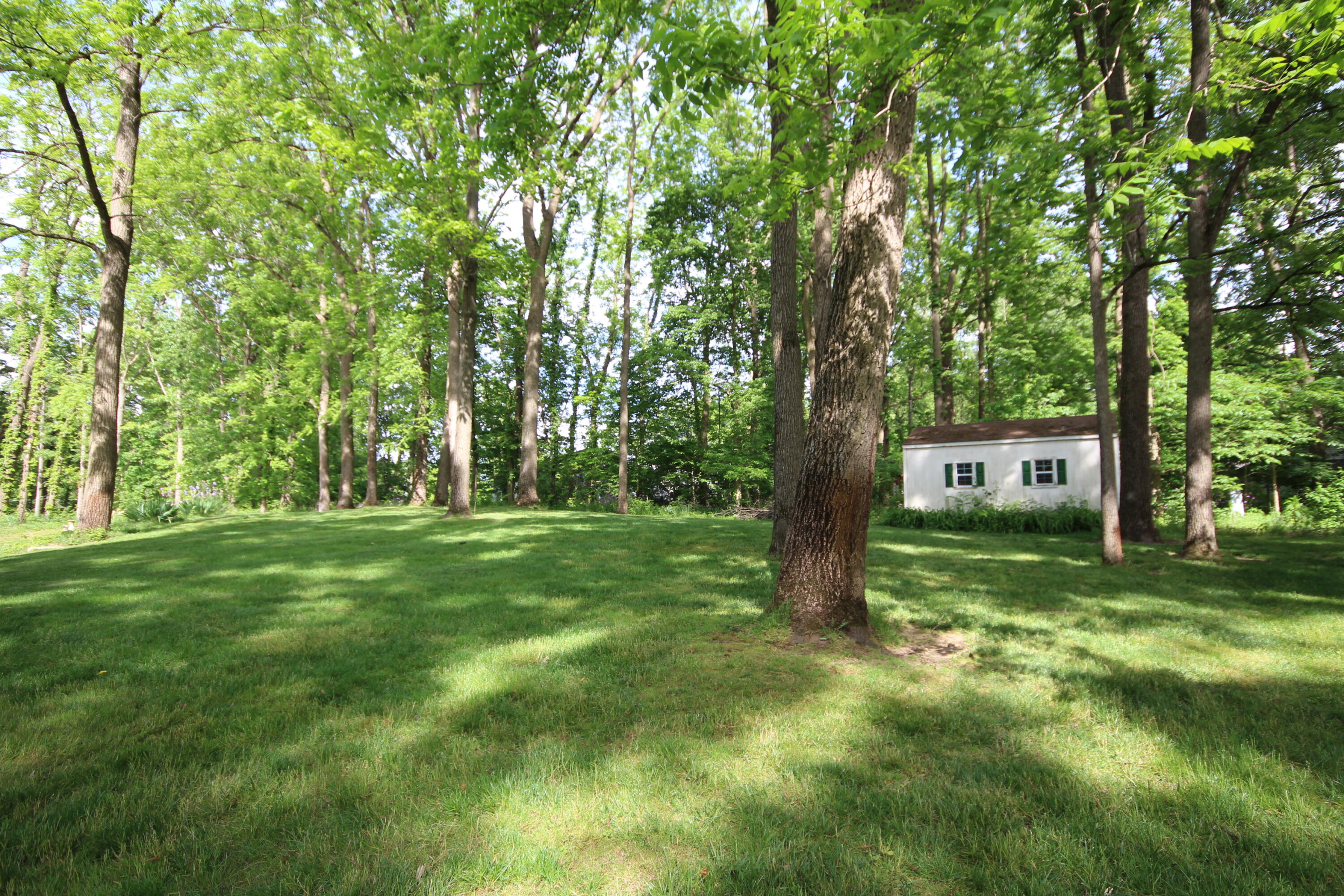 52201 Pine Tree Lane Three Rivers, MI 49093 - Photo 29 of 29 29