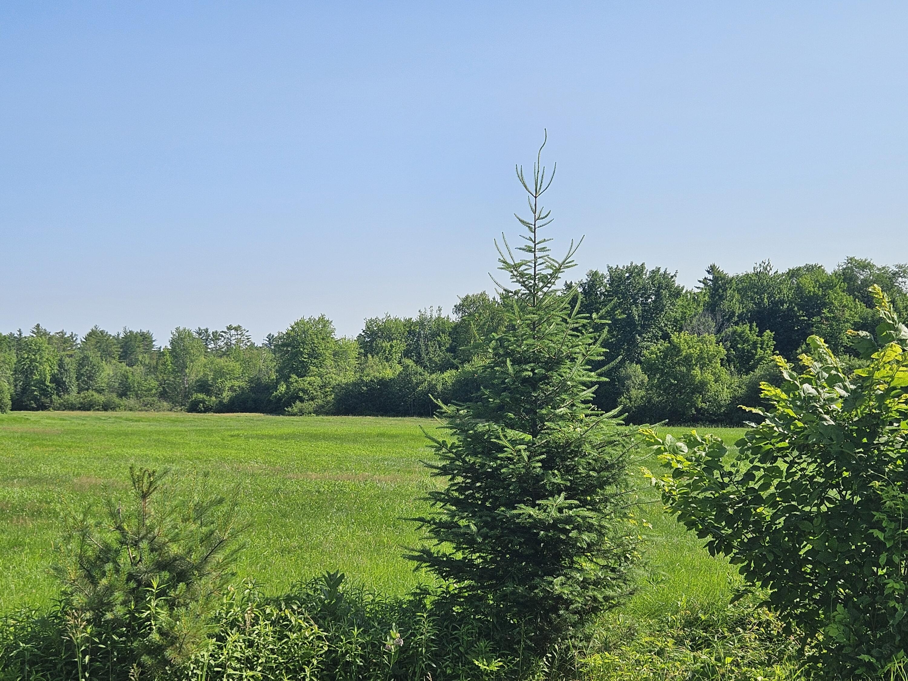 Lot 8-9 Lakeview Road Milo, ME 04463 - Photo 14 of 26 1000016421