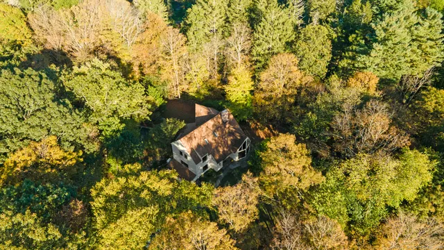 a view of a tree in a yard
