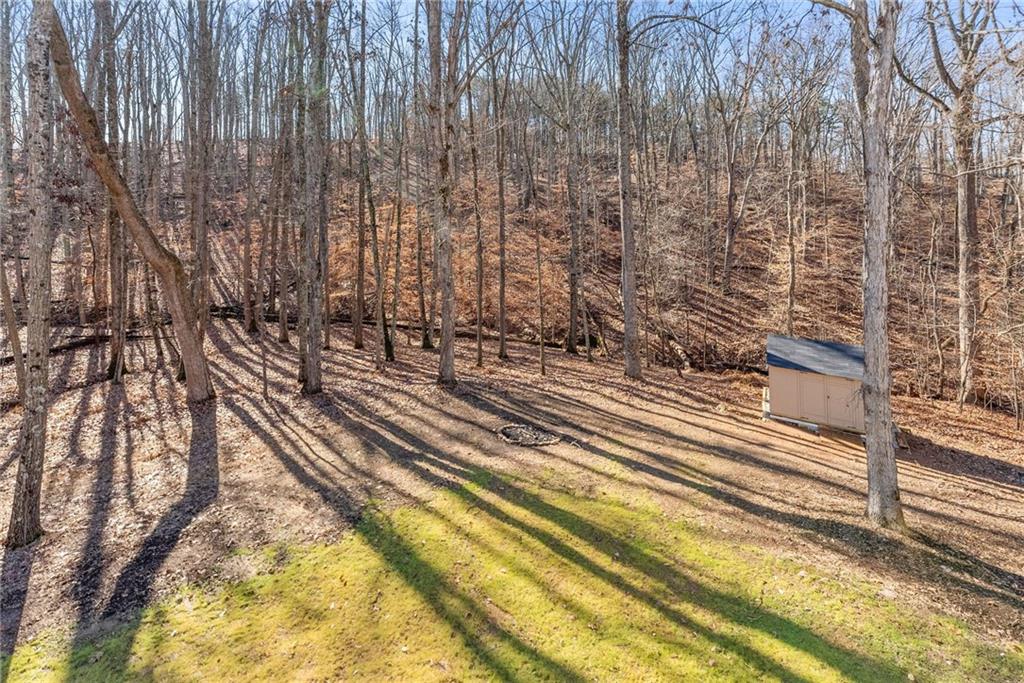 3523 Lighthouse Lane Gainesville, GA 30504 - Photo 40 of 72