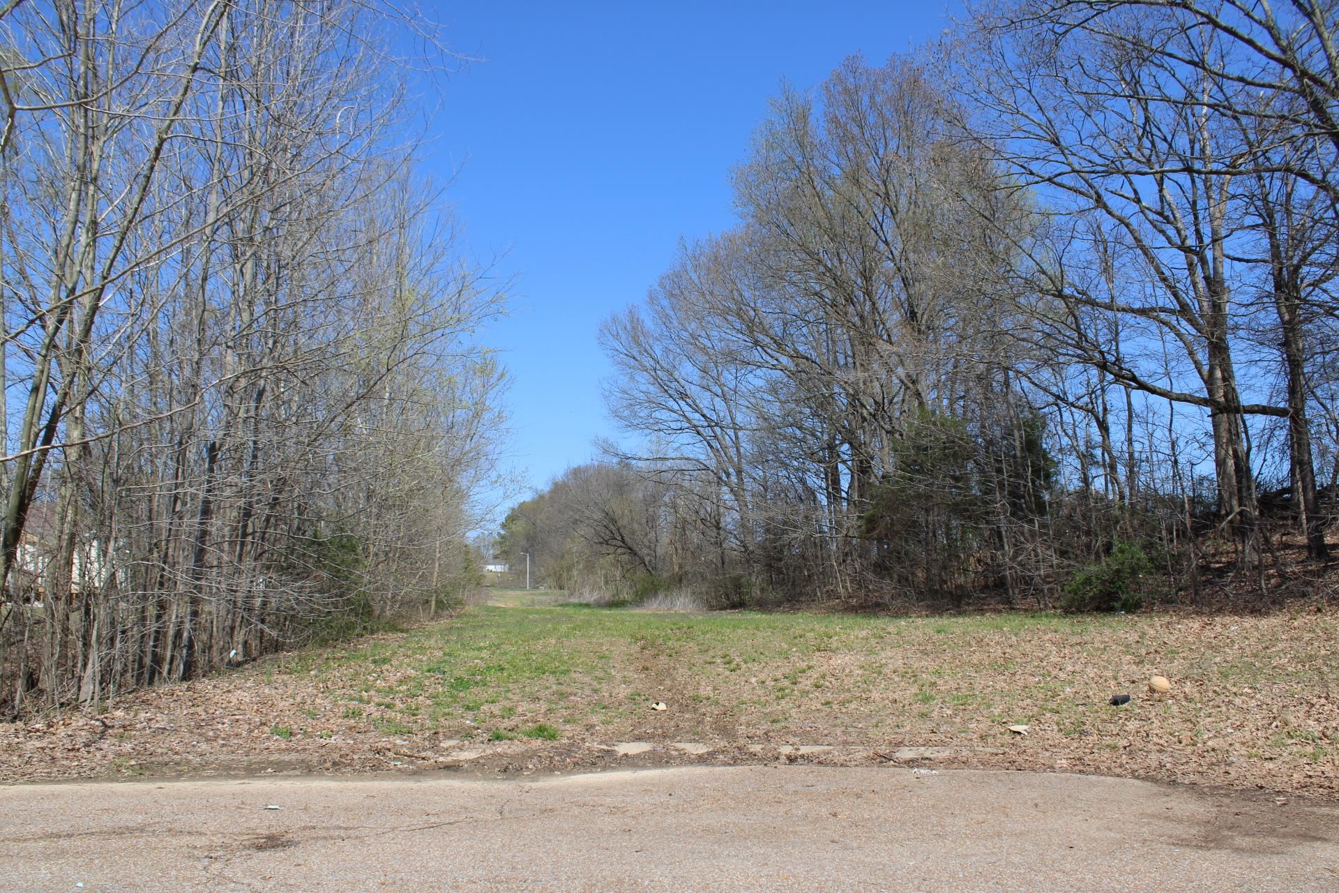 Lot 24 Walnut Ridge Ripley, TN 38063 - Photo 1 of 3 a view of a backyard with large trees