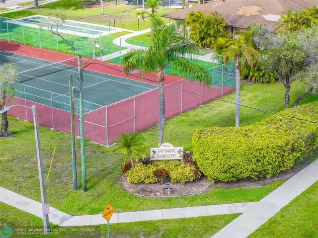 a view of a backyard with plants