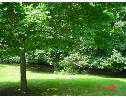 29 Griffin Road Framingham, MA 01701 - Photo 10 of 14 a view of a garden with a tree
