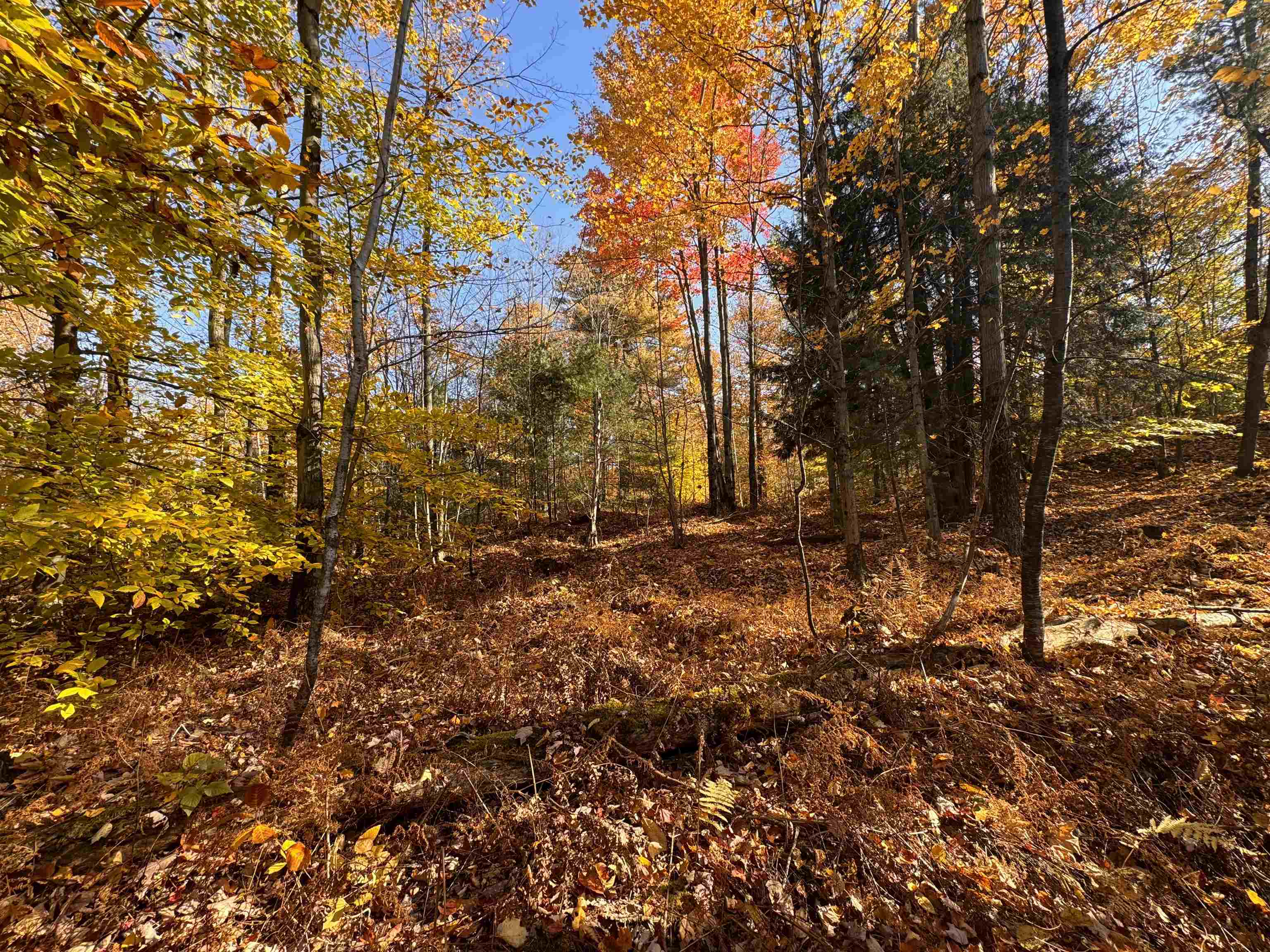 1262 Reservoir Road Berkshire, VT 05450 - Photo 2 of 9 Gallery Image 2