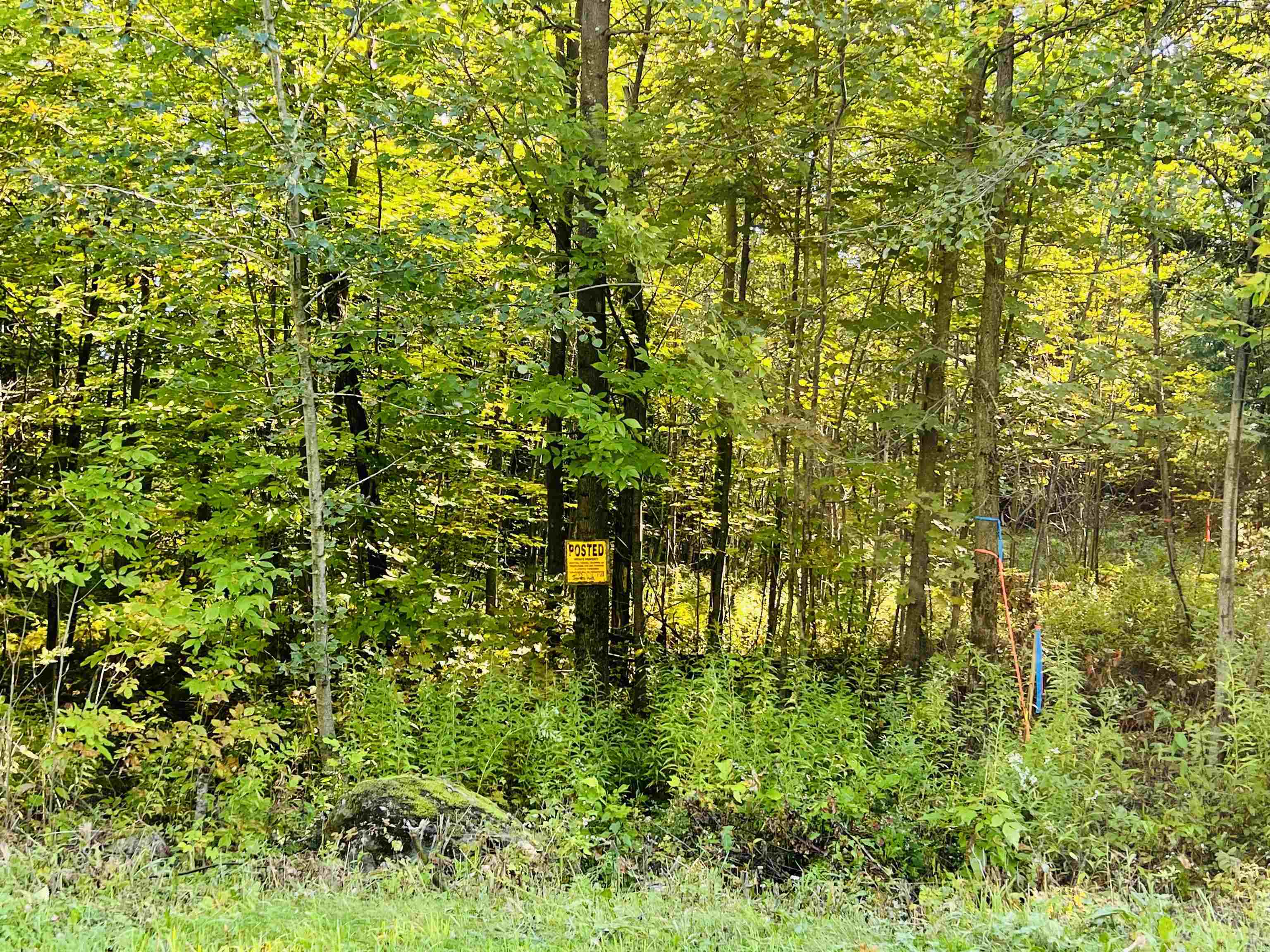 1262 Reservoir Road Berkshire, VT 05450 - Photo 5 of 9 Gallery Image 5