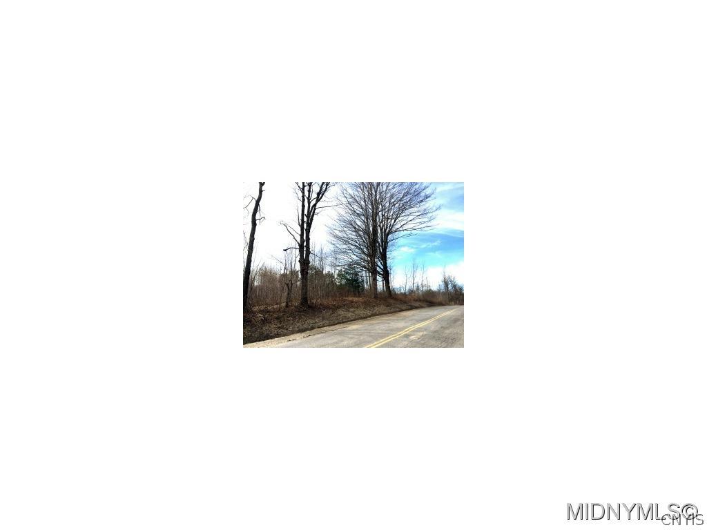 0 Castle Road Little Falls, NY 13365 - Photo 1 of 1 8.1 ACRES