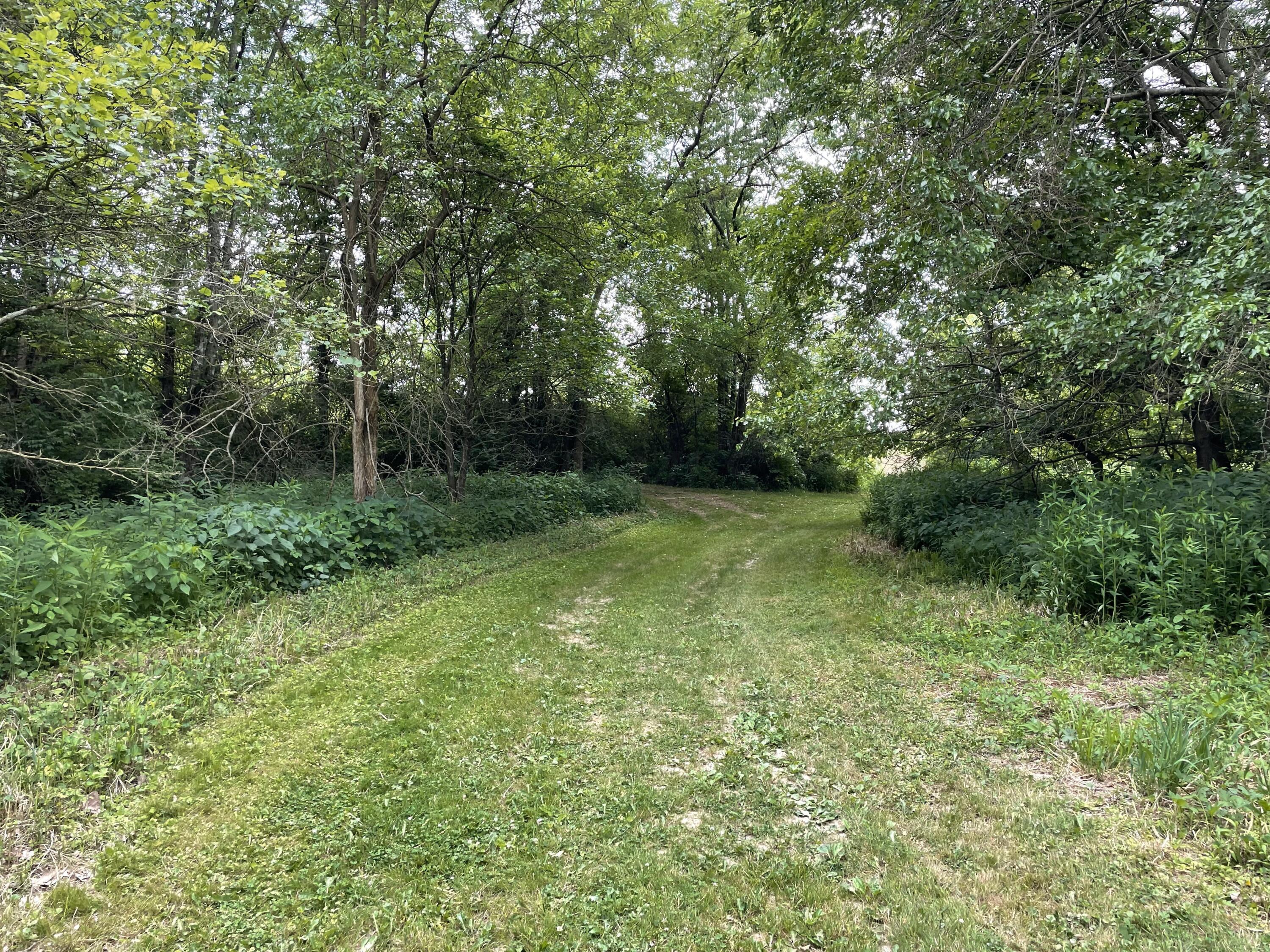 25060 East Liberty Road Raymond, OH 43067 - Photo 99 of 103 IMG_9182