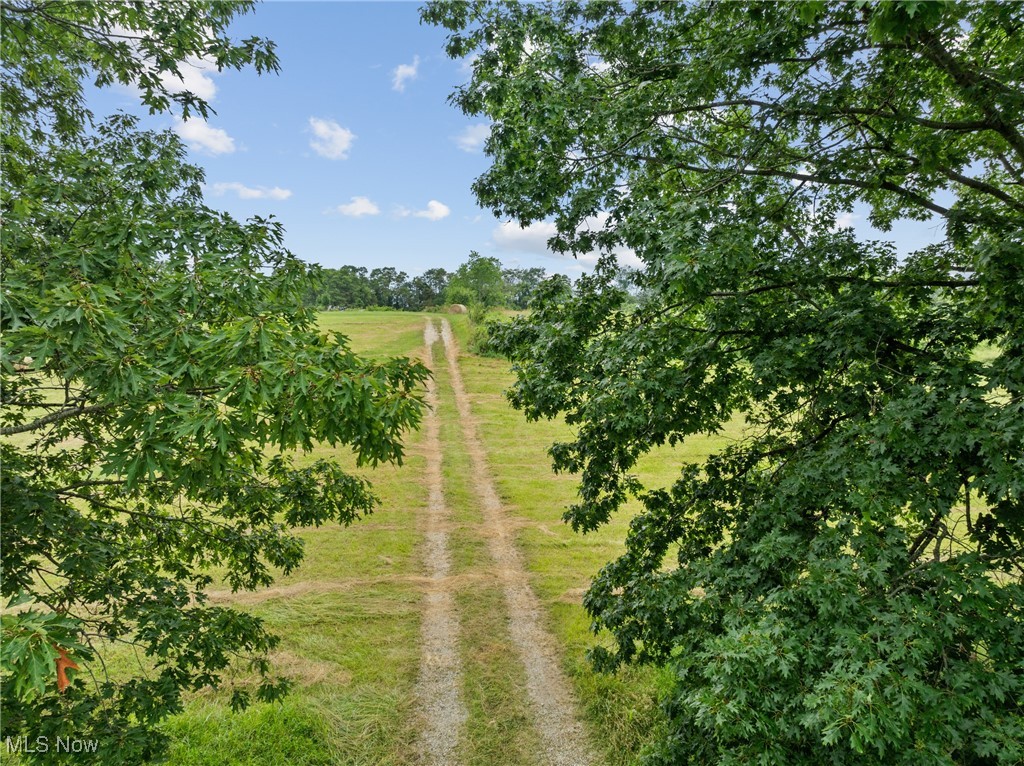 View of yard with a view of rural / pastoral area and driveway