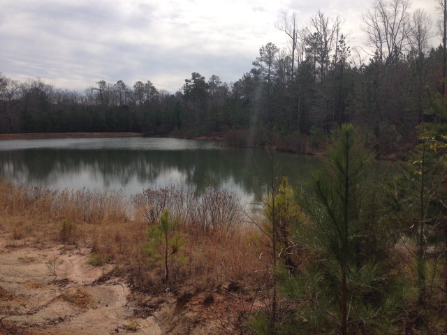 6-b 7b 8b Renouf Road, Unit 6B 7B Forsyth, GA 31029 - Photo 1 of 9 Primary Photo