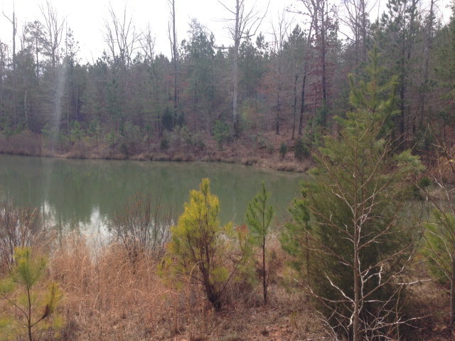 6-b 7b 8b Renouf Road, Unit 6B 7B Forsyth, GA 31029 - Photo 3 of 9 Additional Photo