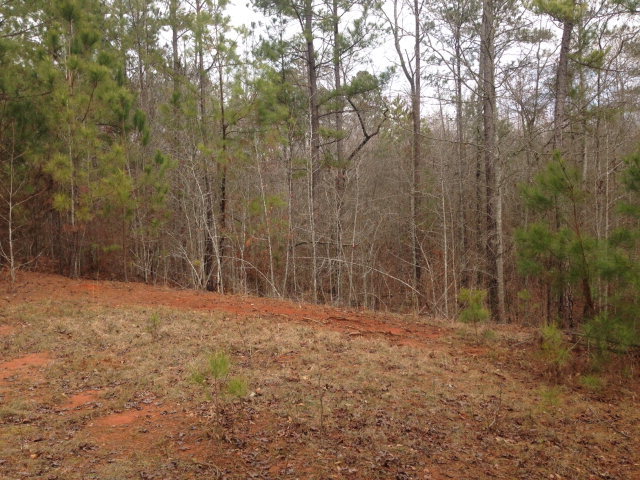 6-b 7b 8b Renouf Road, Unit 6B 7B Forsyth, GA 31029 - Photo 4 of 9 Additional Photo