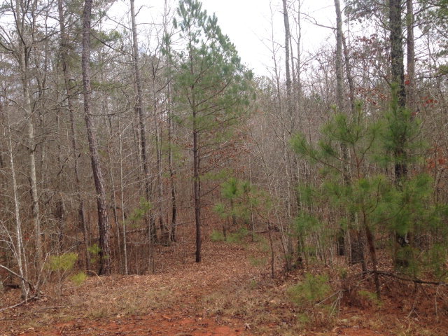 6-b 7b 8b Renouf Road, Unit 6B 7B Forsyth, GA 31029 - Photo 5 of 9 Additional Photo