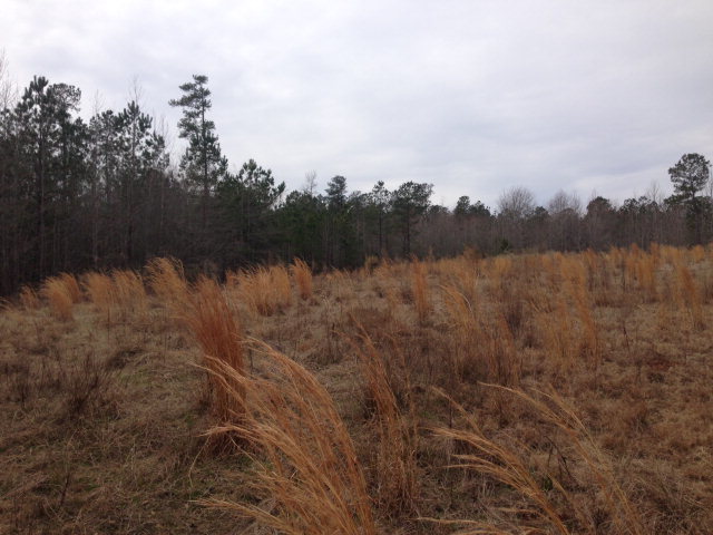 6-b 7b 8b Renouf Road, Unit 6B 7B Forsyth, GA 31029 - Photo 7 of 9 Additional Photo