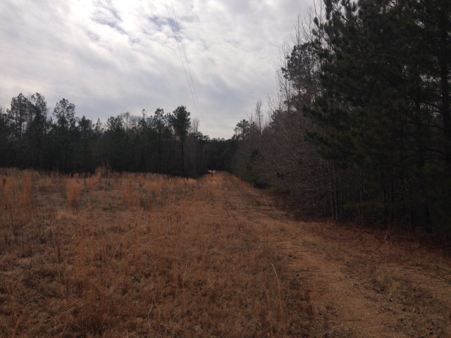 6-b 7b 8b Renouf Road, Unit 6B 7B Forsyth, GA 31029 - Photo 8 of 9 Additional Photo