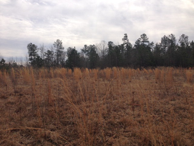 6-b 7b 8b Renouf Road, Unit 6B 7B Forsyth, GA 31029 - Photo 9 of 9 Additional Photo