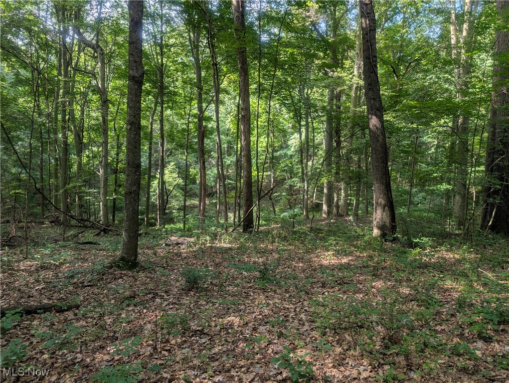 Toll Gate Road Northwest Somerset, OH 43783 - Photo 13 of 40 View of tree filled area
