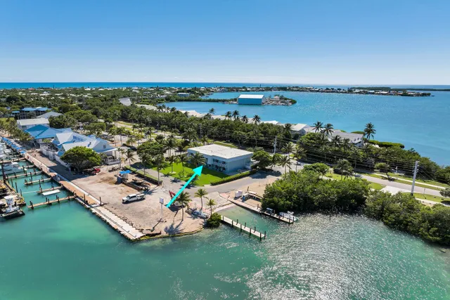 an aerial view of a house with a garden and lake view